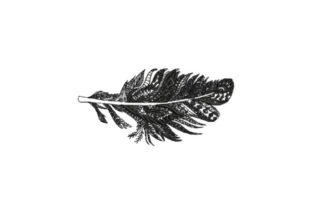 Feather Intricate: A Boho Embroidery Standout